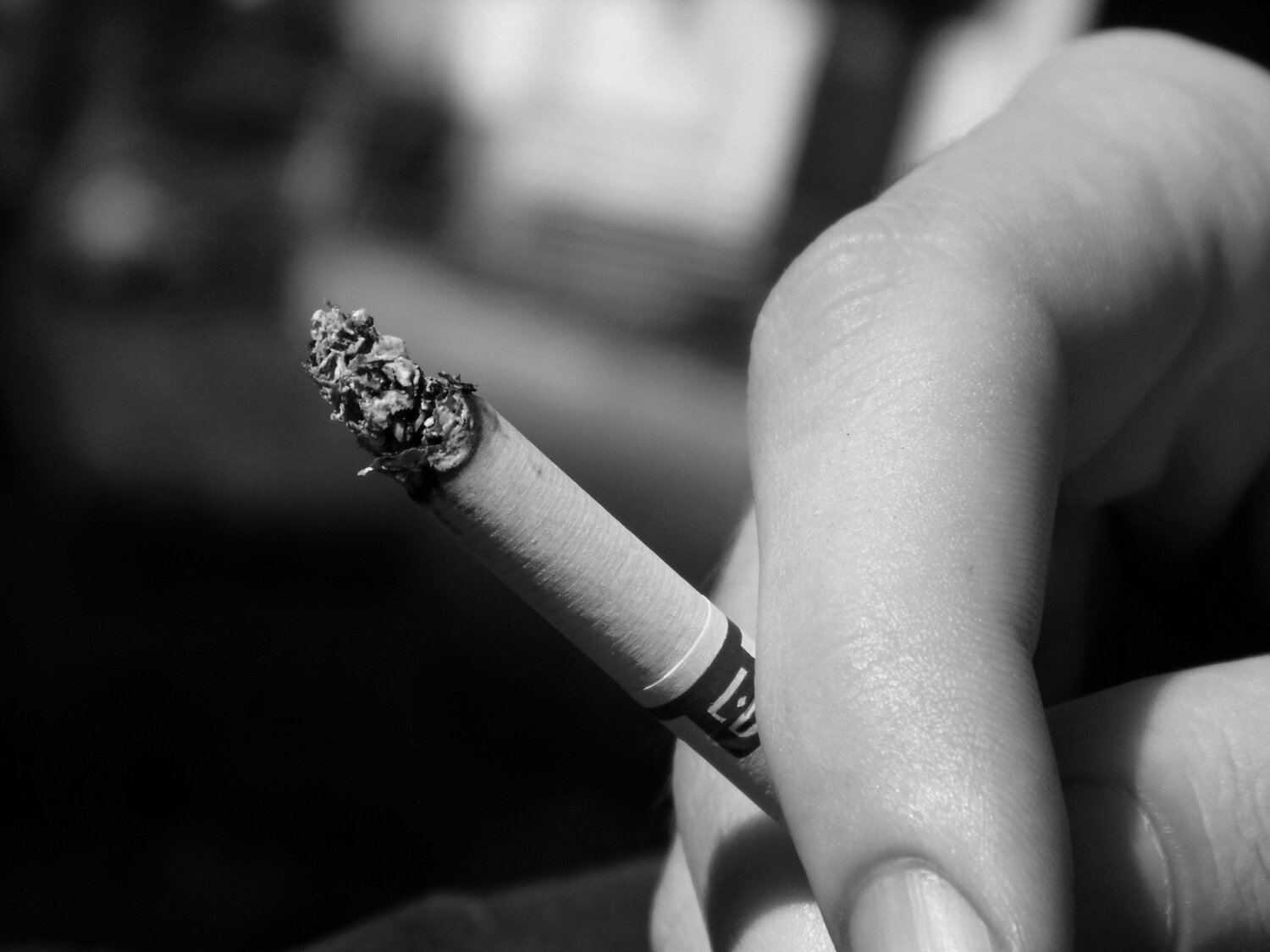 Photo #1831633