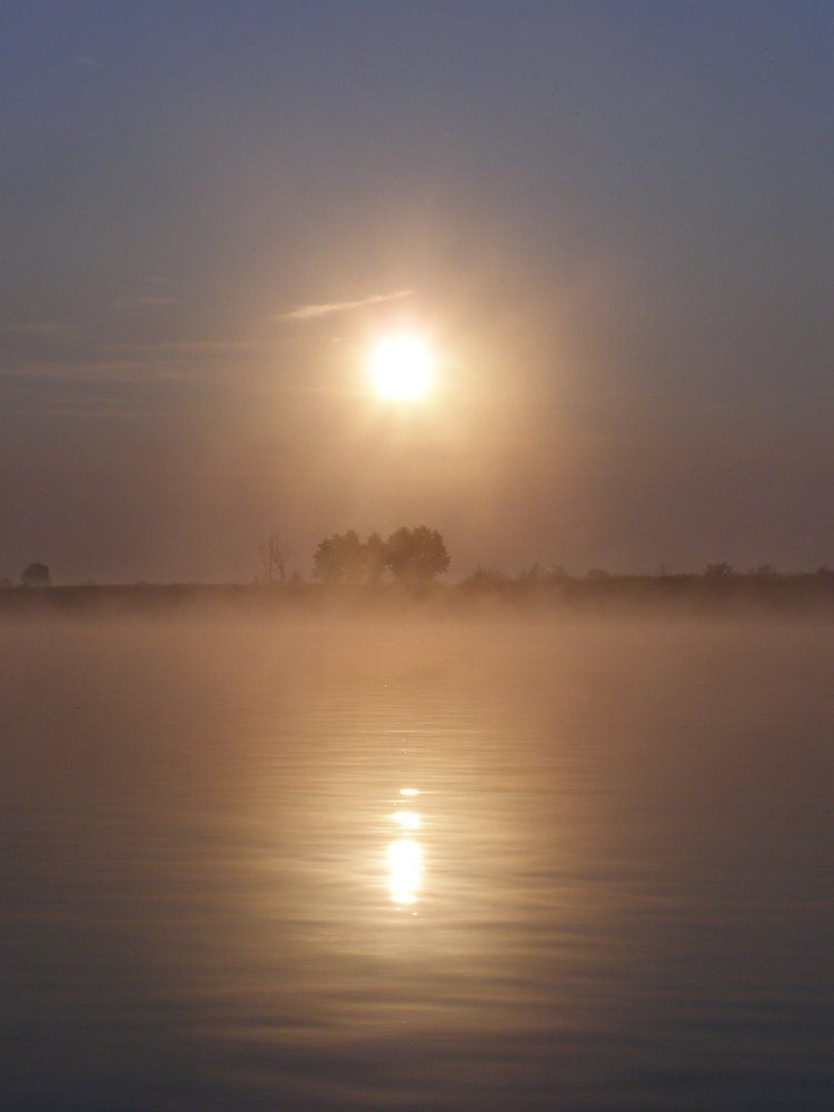 Photo #1831801