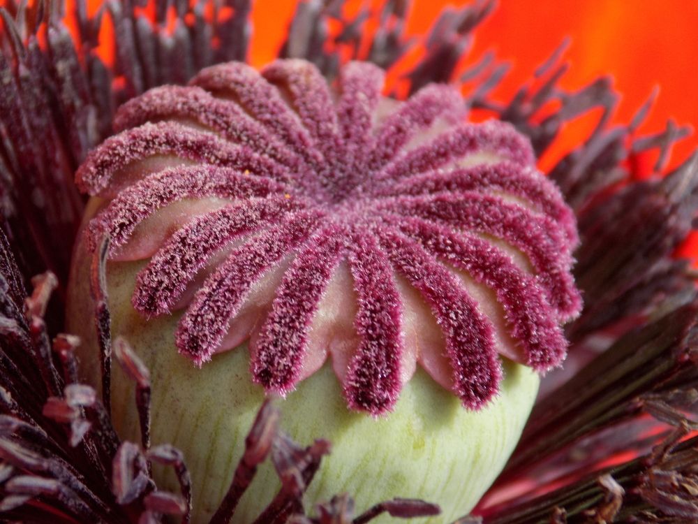 Красивая коробочка