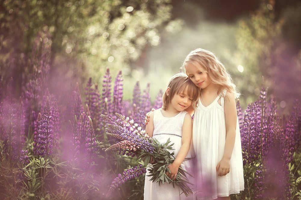 Люпиновый вечер