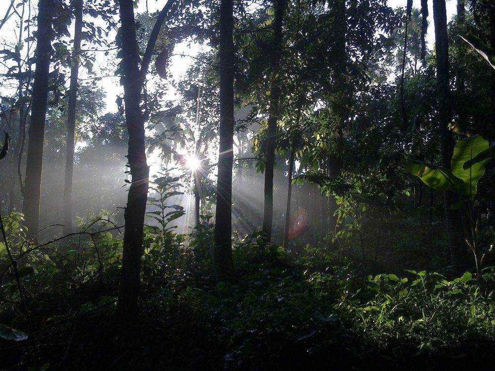 Rising sun is the Power &  inspiration of nature..... Cool morning
