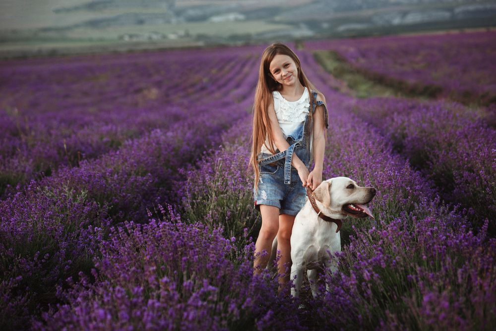 лучший друг