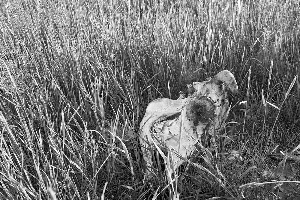 Улыбайтесь, господа, улыбайтесь!..