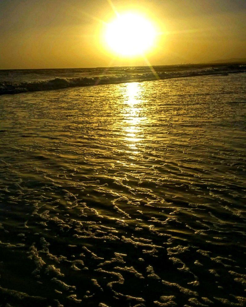 The end.