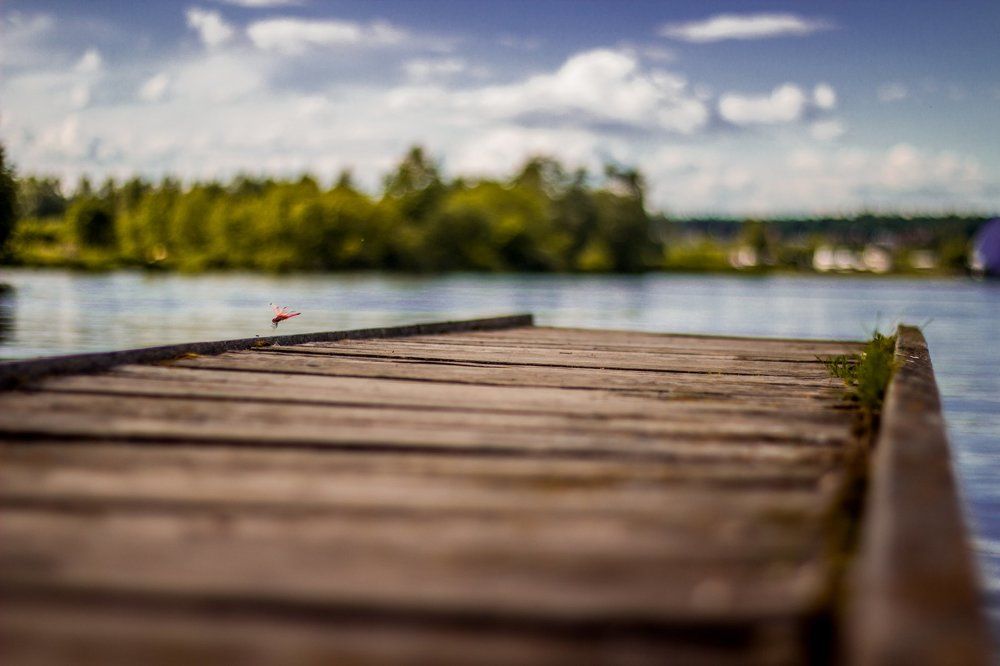 Макро хищник