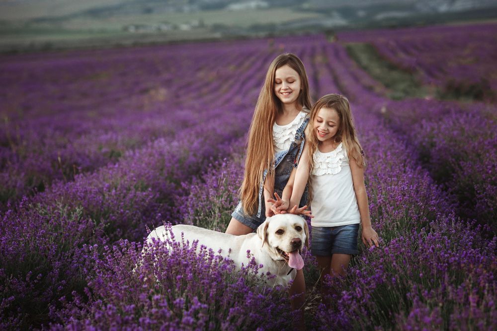 Photograph by Олеся