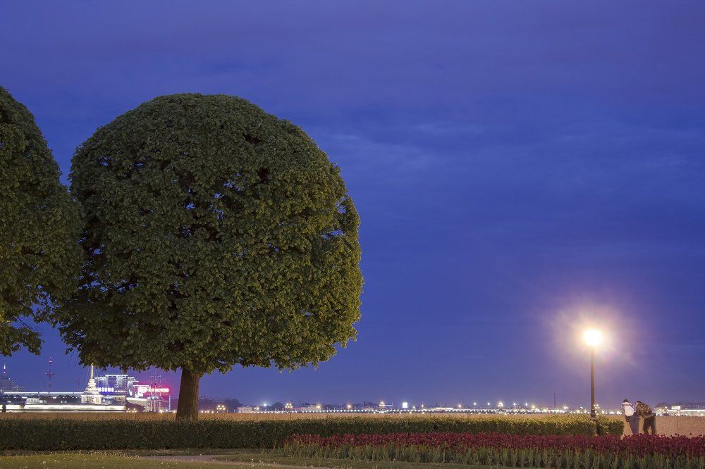 Полночь в северной столице