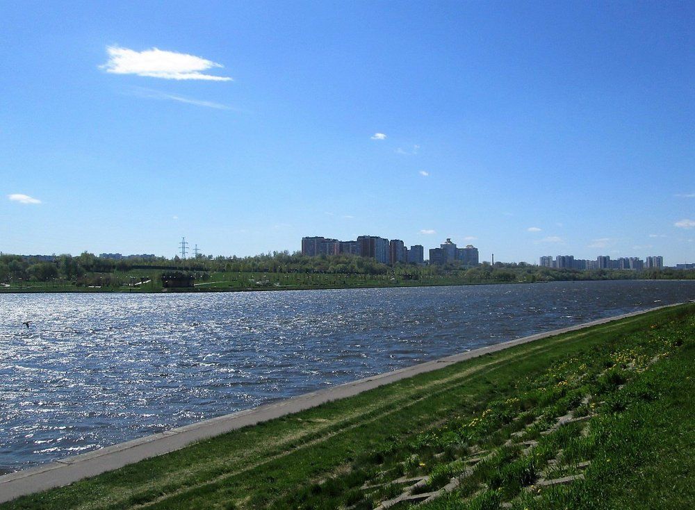 Берег реки