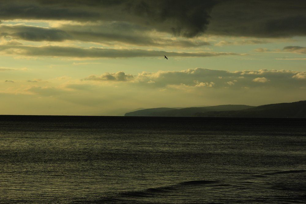 Черноморское побережье