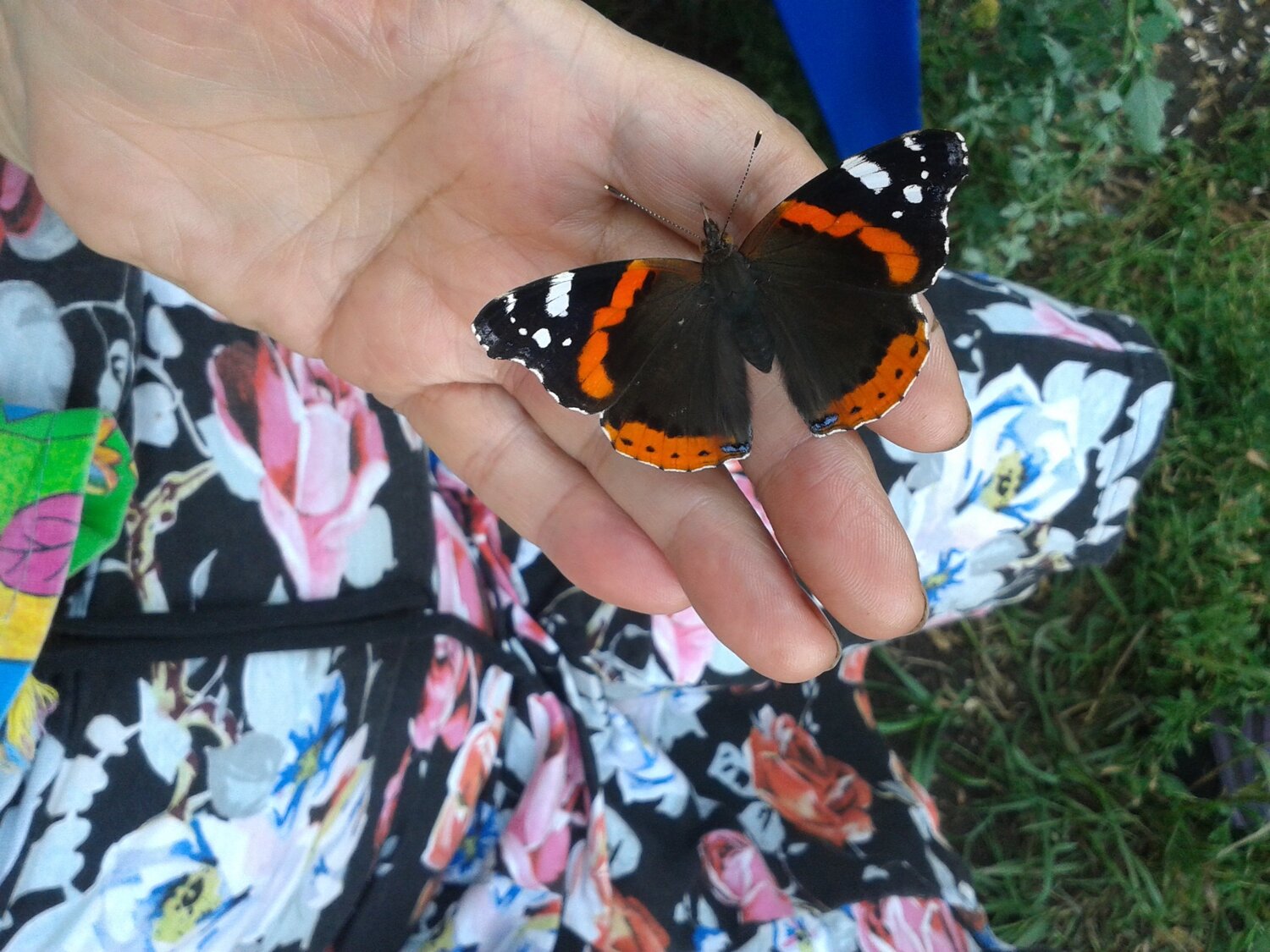 Photo #1833287
