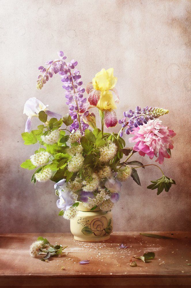 Photograph by Курочкина Диана