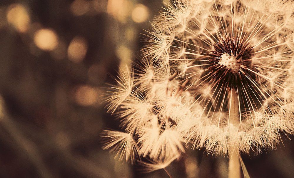 красивым быть,красиво жить, красиво уходить...