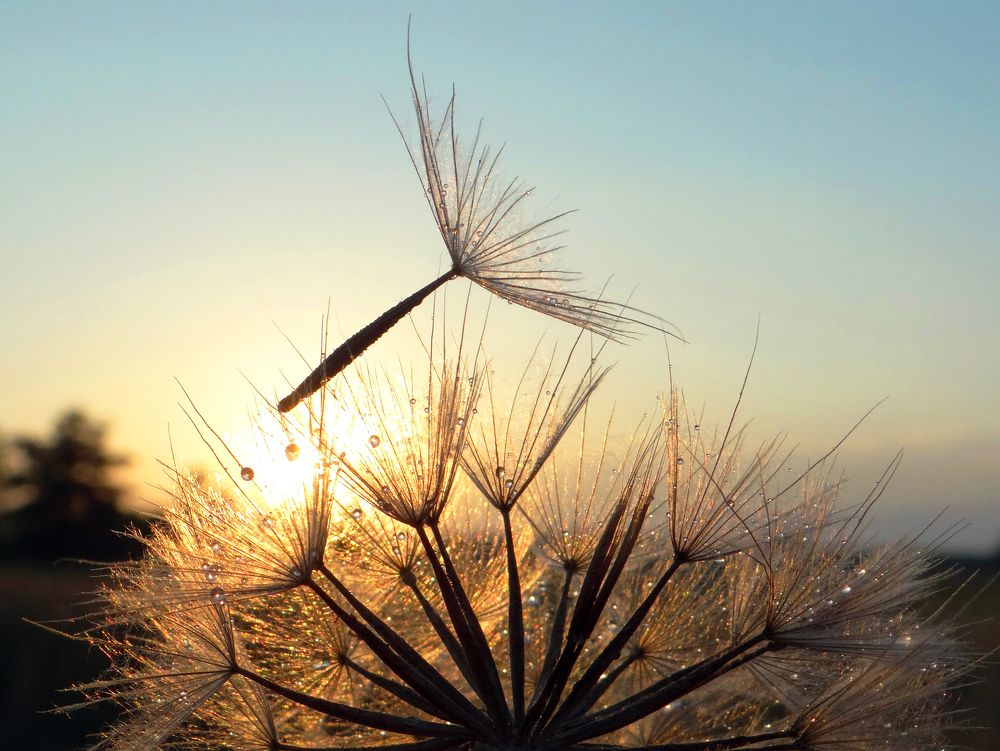 Золото на голубом