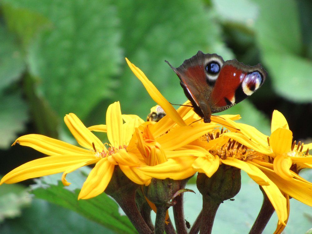 Photograph by Павловская Марина
