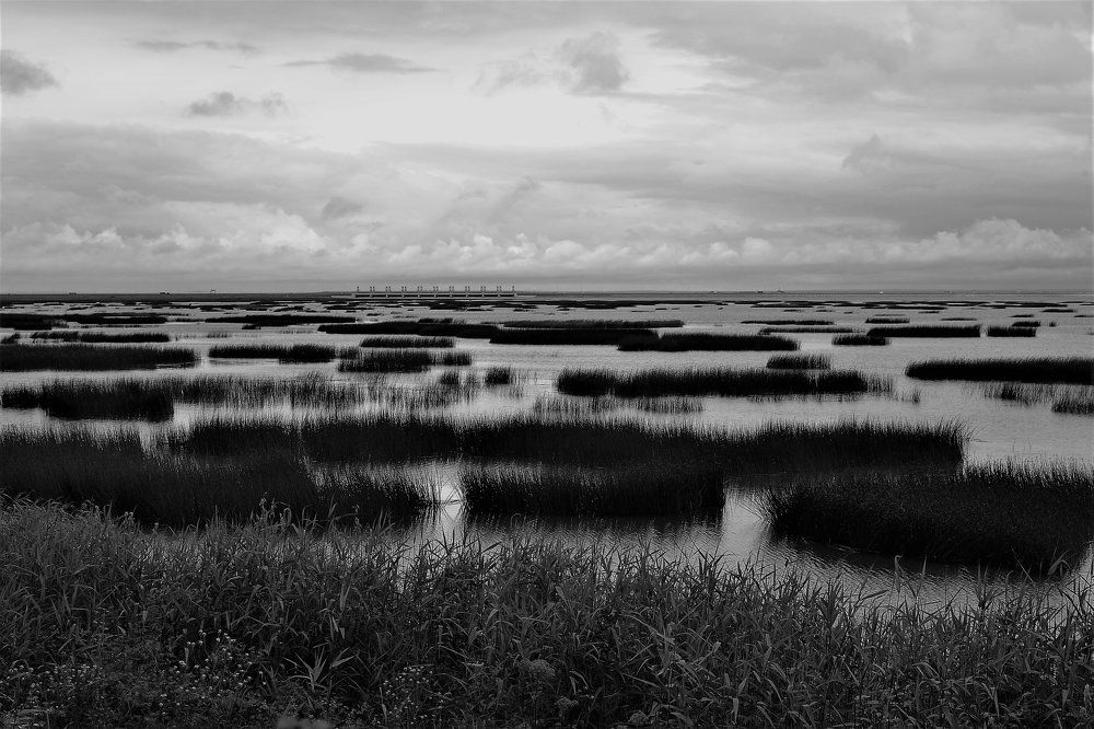 Photograph by Надежда Буаллаг