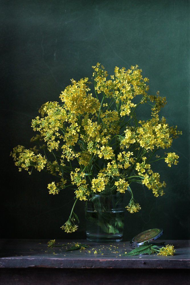 Photograph by Курочкина Диана