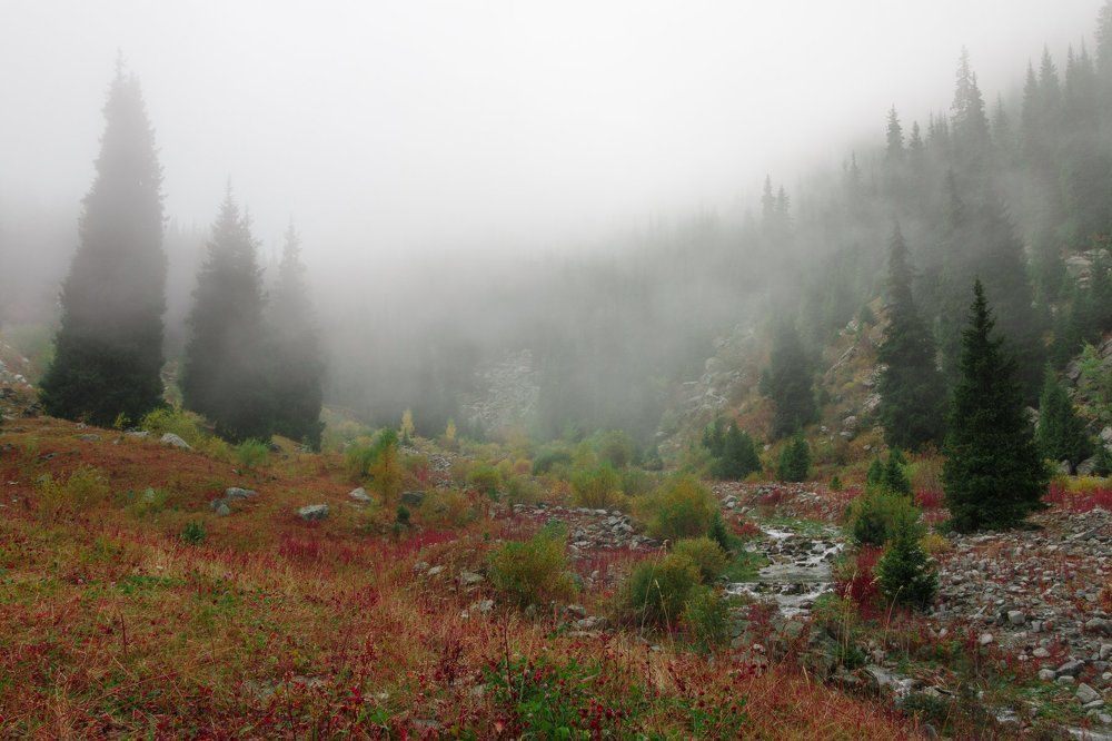 Photograph by Sergey Dulgiyer