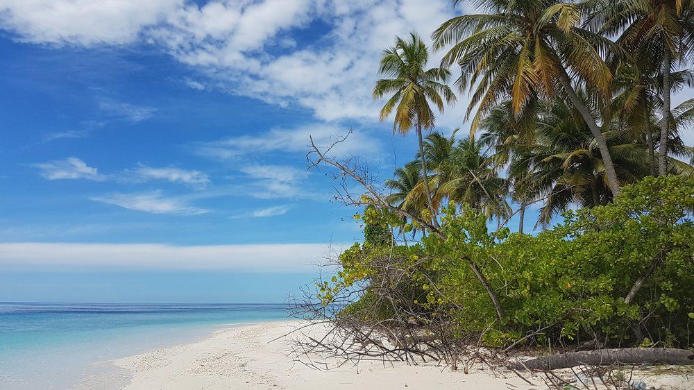 The sunny side of life