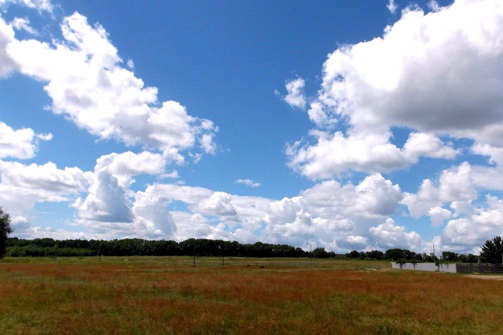 Фотография автора Арканникова Настя