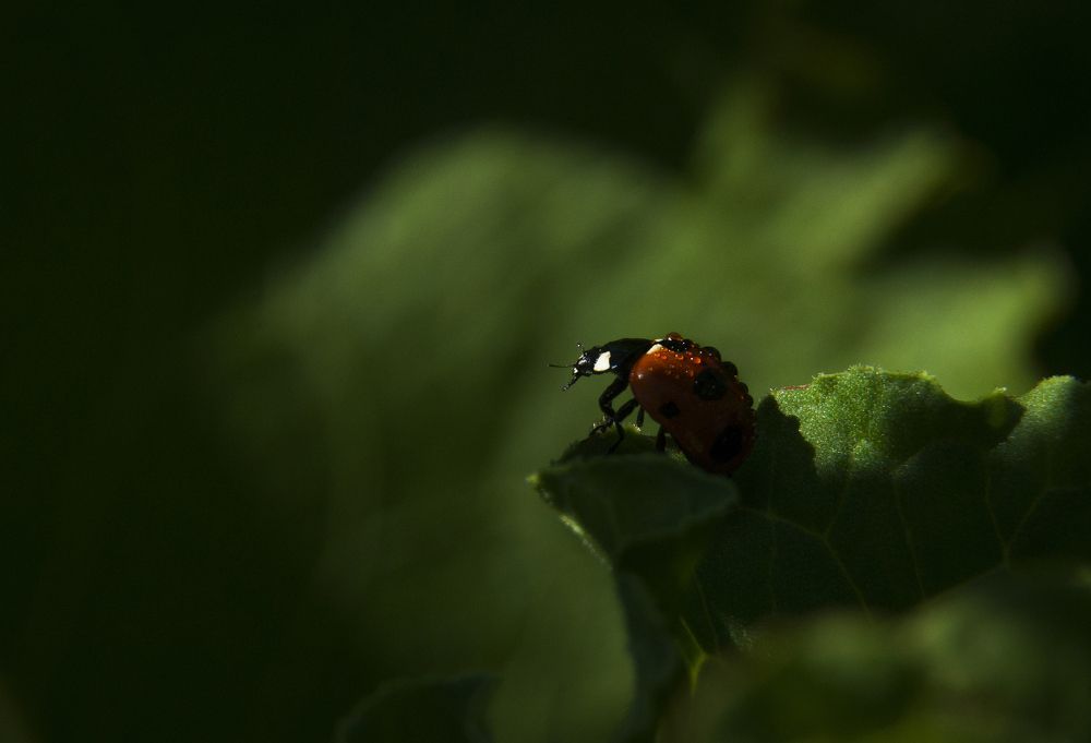 Перед неизвестностью