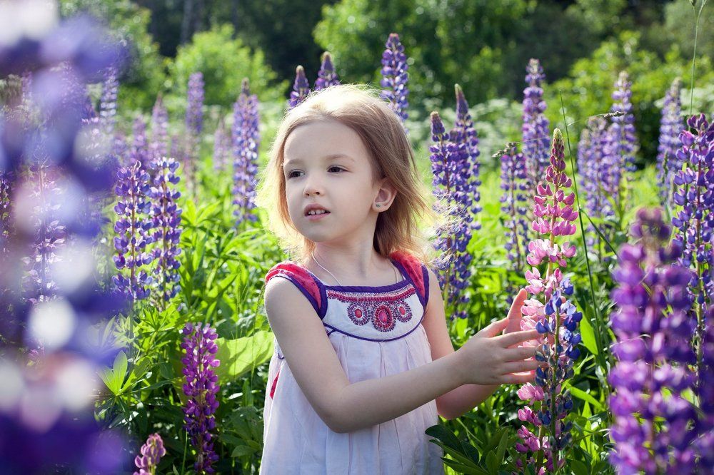 Ветер перемен