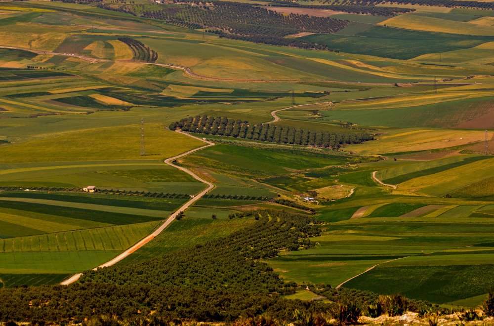 The raod to the Greenland