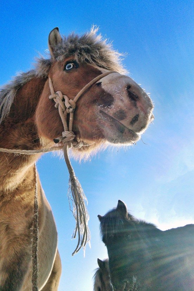 Всем доброе утро!