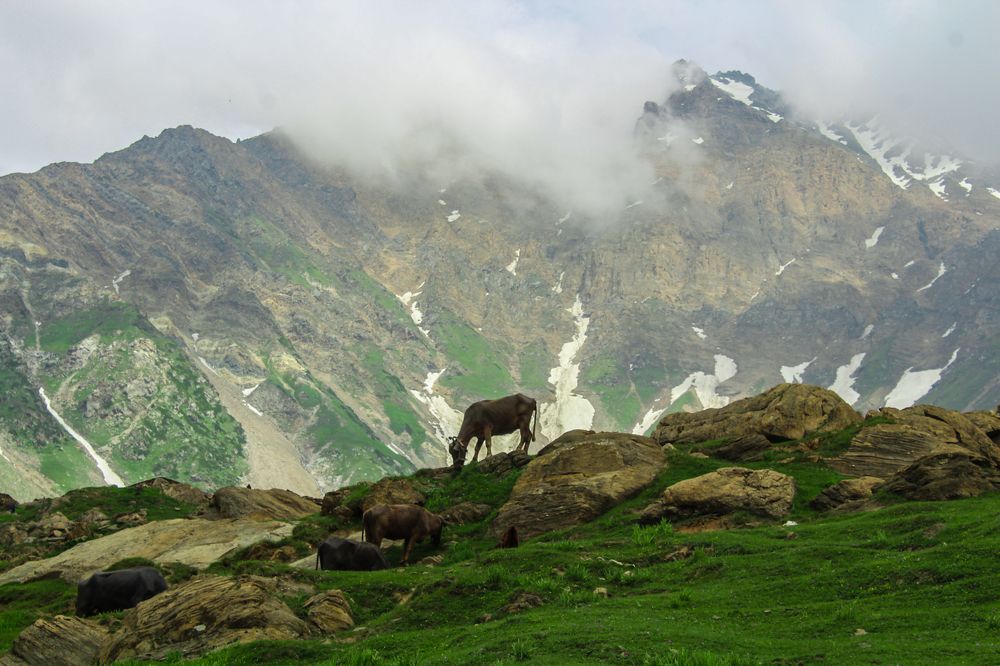 Naran