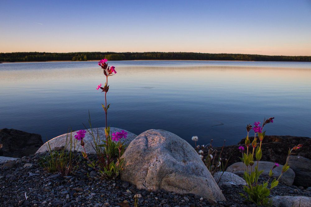 Брутальность и красота карельской природы
