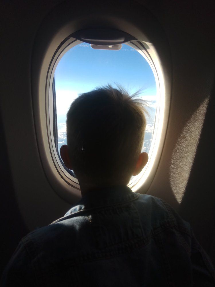 окно в небо