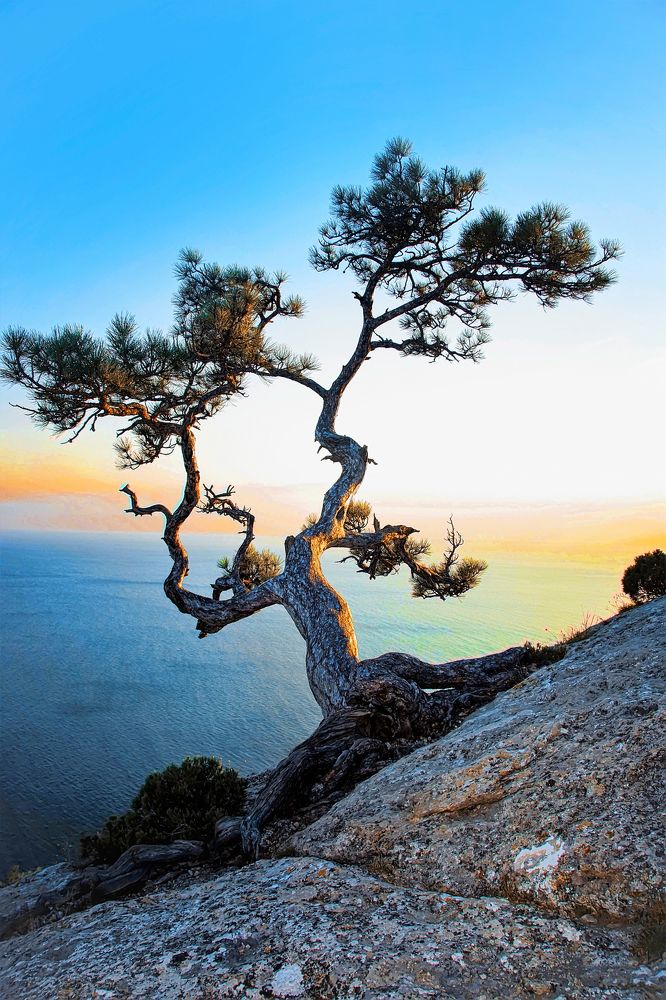 Photograph by вадим аврахов