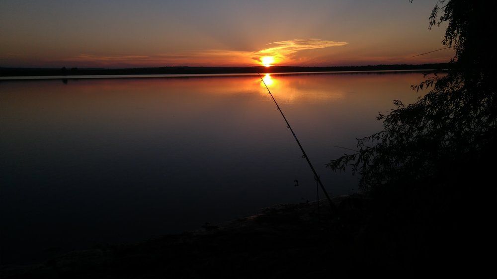 Photo #1835178