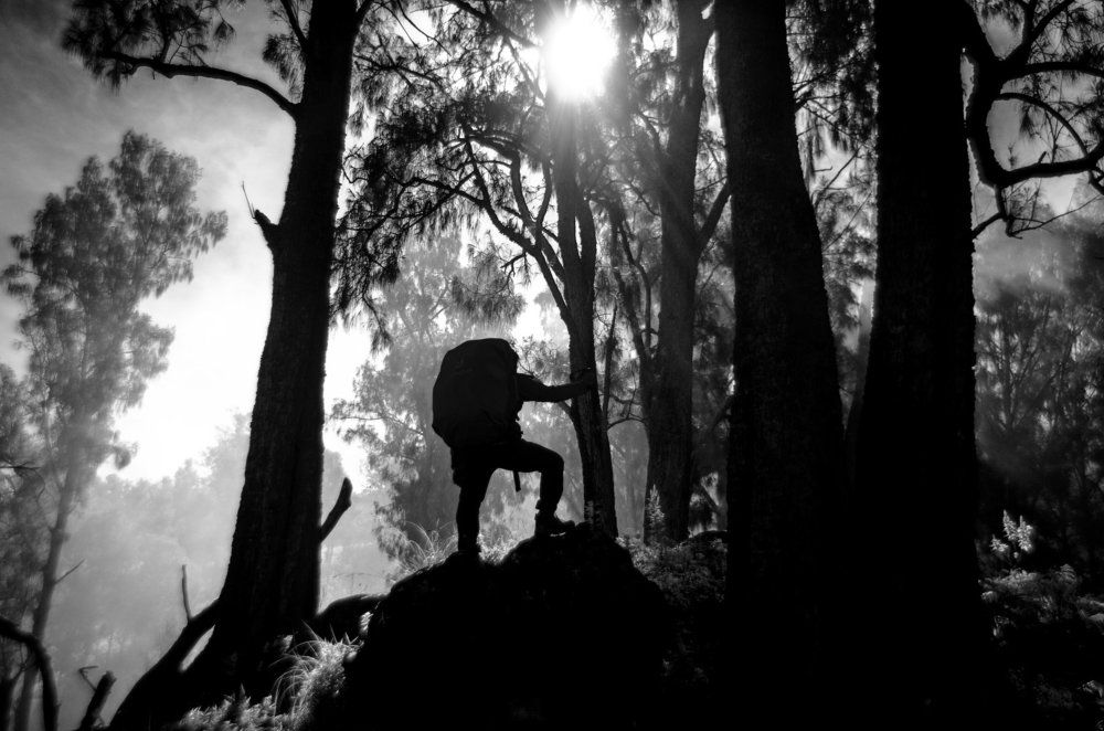 Enlightment