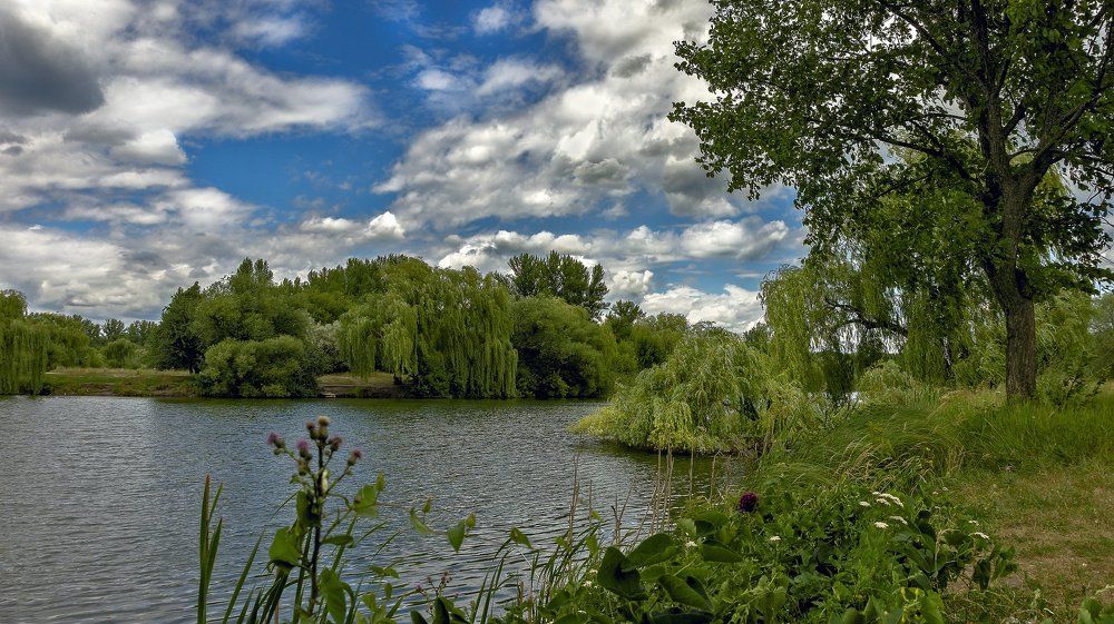 Лёгкий ветерок