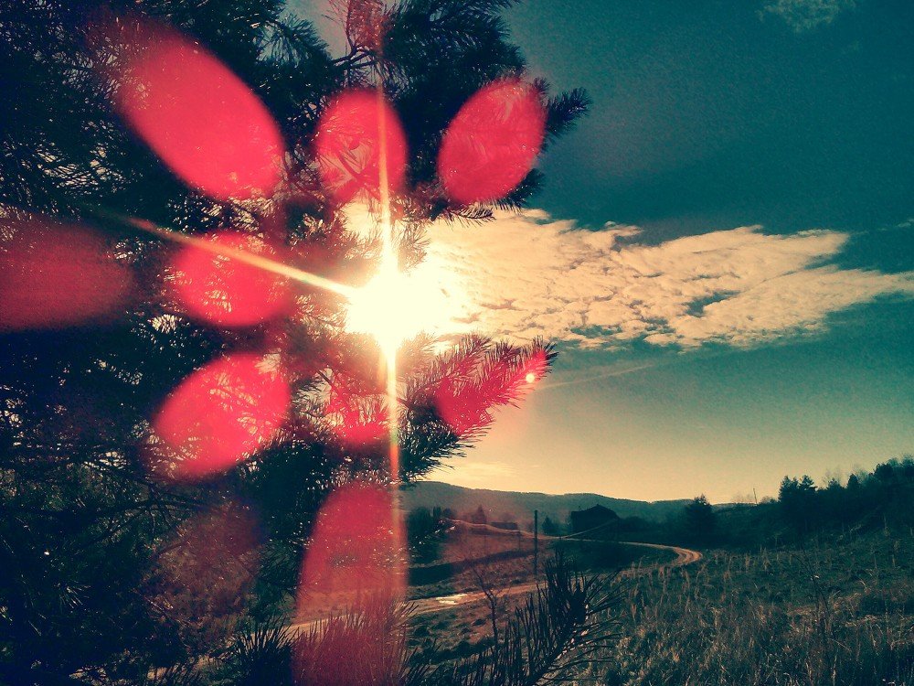 Розквіт сонця!