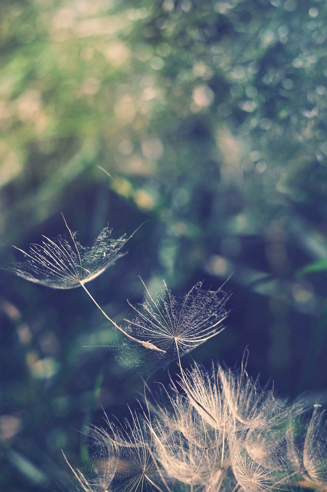 Отправляясь в полёт