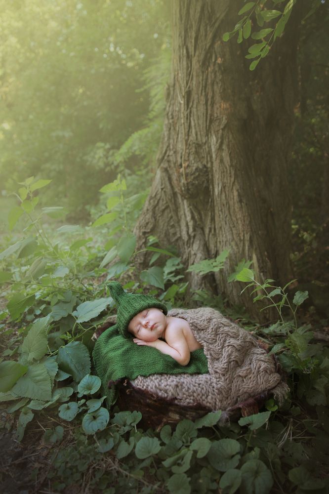 Лесная гармония