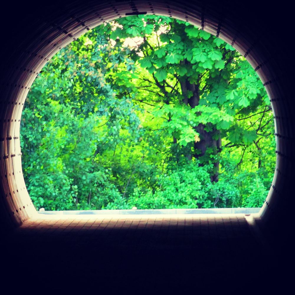 вид из тоннеля