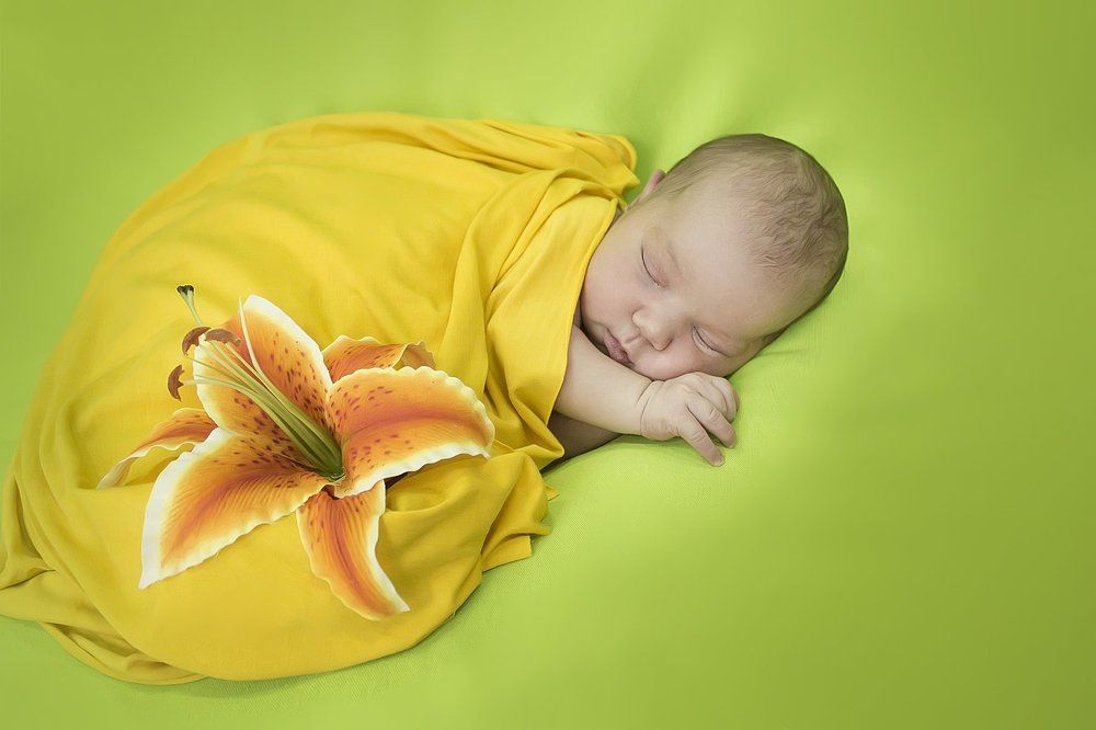 Photograph by Елена