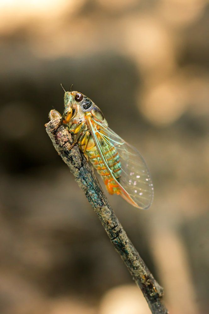 Photograph by Тараненко Анжелика