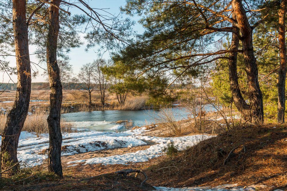Весенняя река