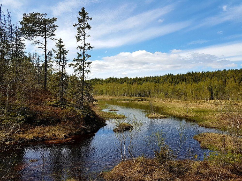 Photograph by Julija