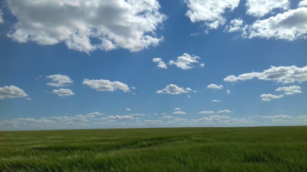 Photo #1836887