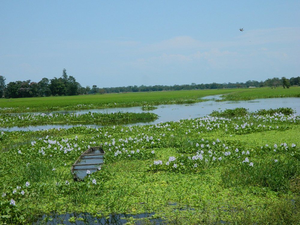 Boat in Bill