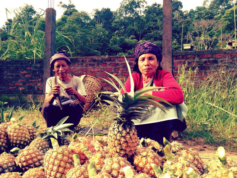 A Pineapple Couple
