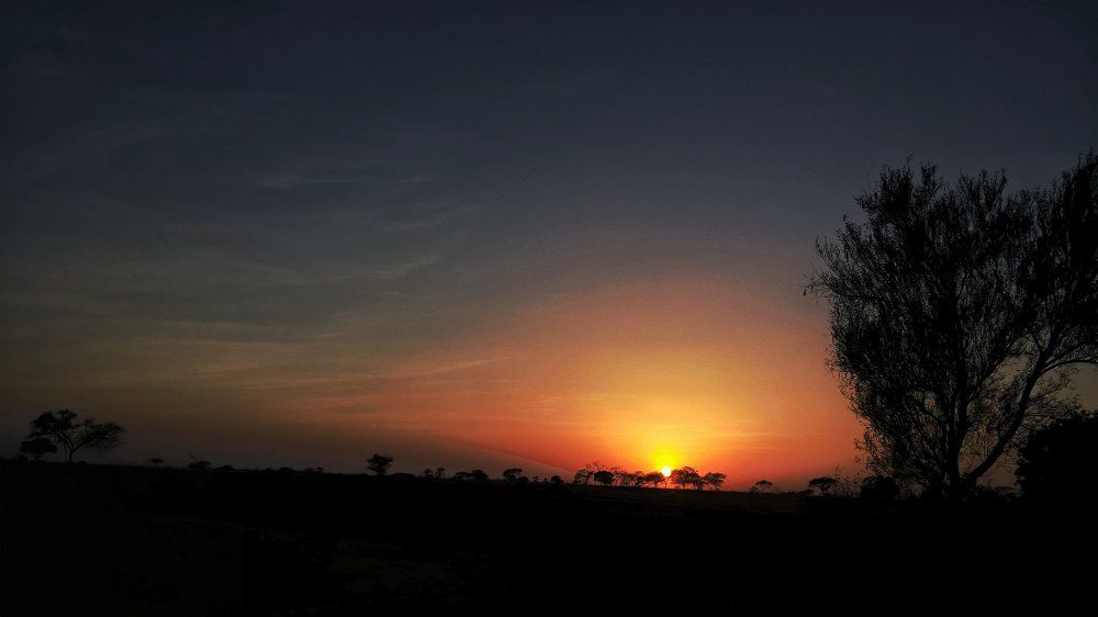 Photo #1837265