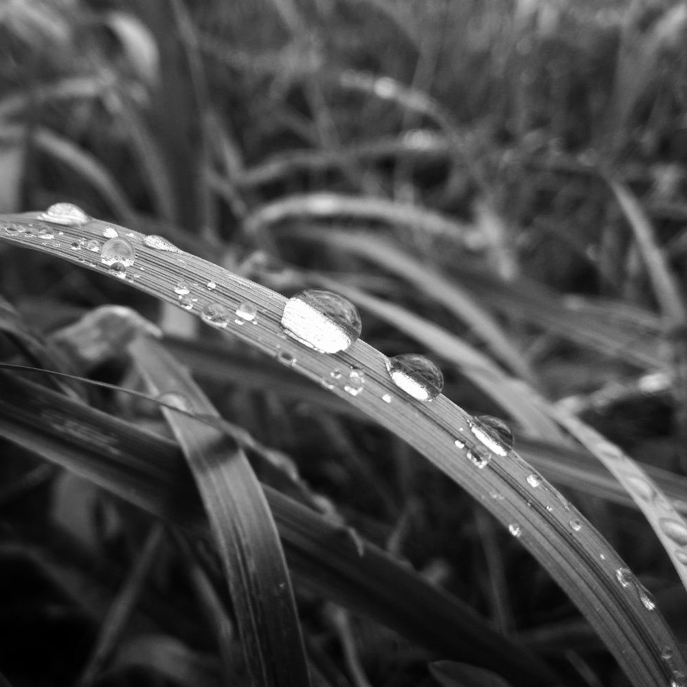 Photograph by Евгений