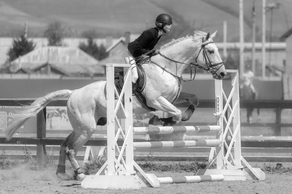 Конкур.(Competition)