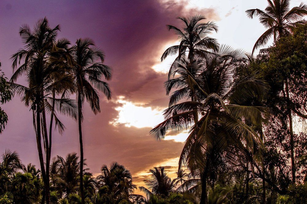 Sky is the canvas !