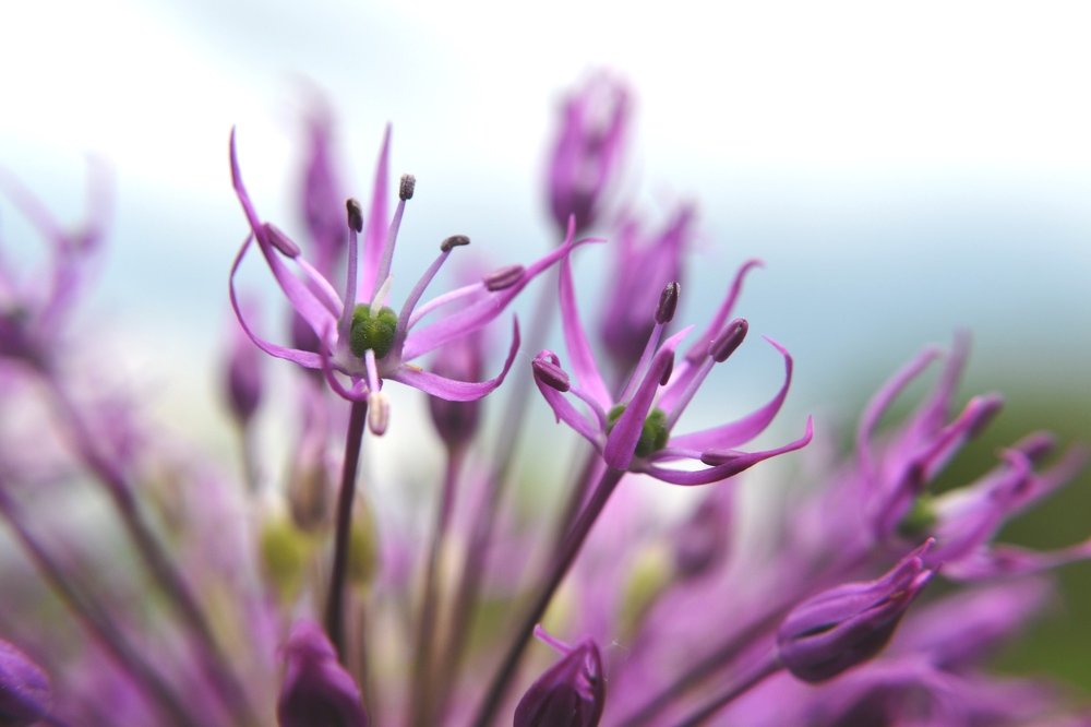 Photograph by Анастасия Ефимова